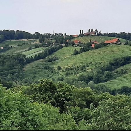 Obstbau Und Gaestezimmer Stani Kitzeck im Sausal Exteriér fotografie