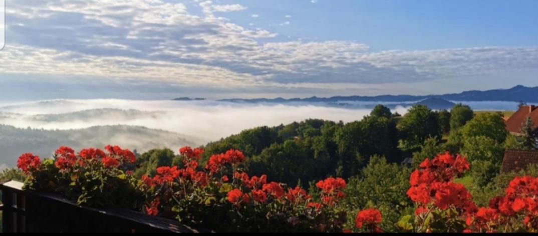 Obstbau Und Gaestezimmer Stani Kitzeck im Sausal Exteriér fotografie