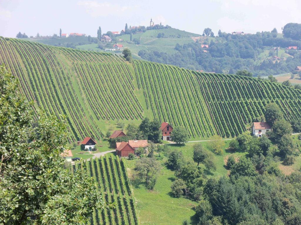 Obstbau Und Gaestezimmer Stani Kitzeck im Sausal Exteriér fotografie